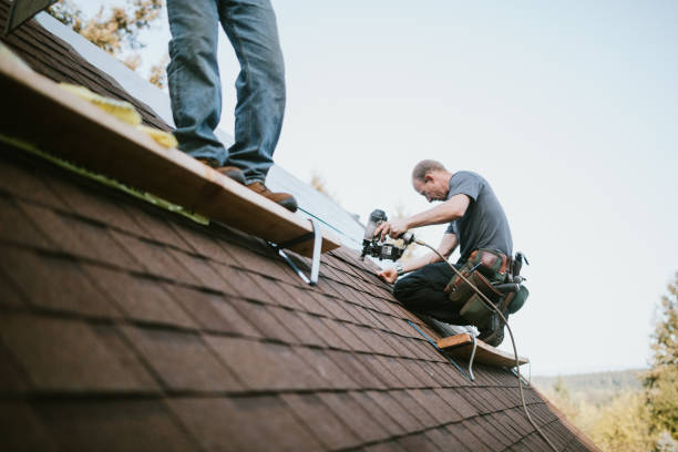 Roof Gutter Cleaning in Quincy, IL